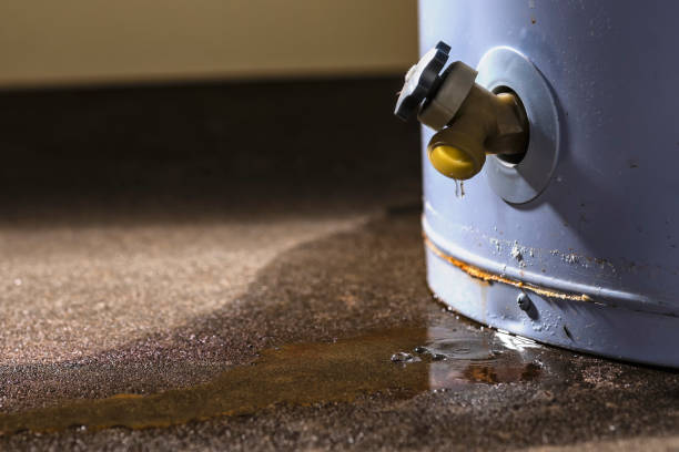 Water damage restoration experts in CO