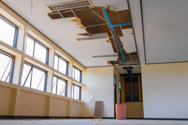 Best Water damage restoration services  in Dillon, CO