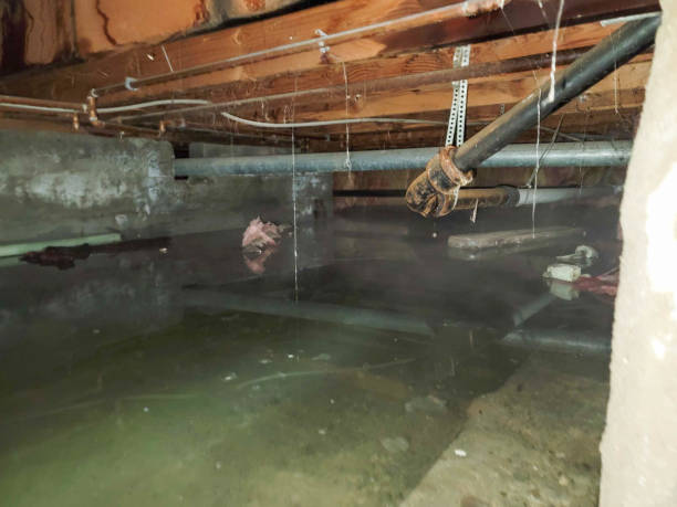 Best Water damage cleanup near me  in Dillon, CO