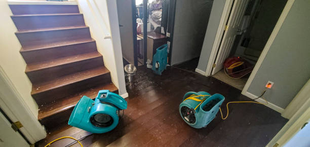 Best Fire Damage Restoration  in Dillon, CO