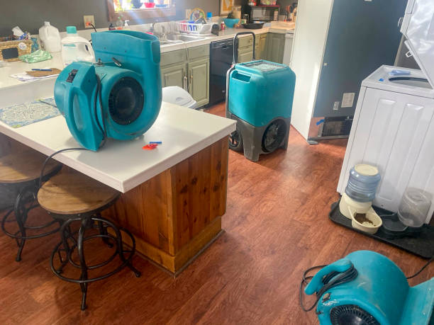 Best Professional water damage repair  in Dillon, CO