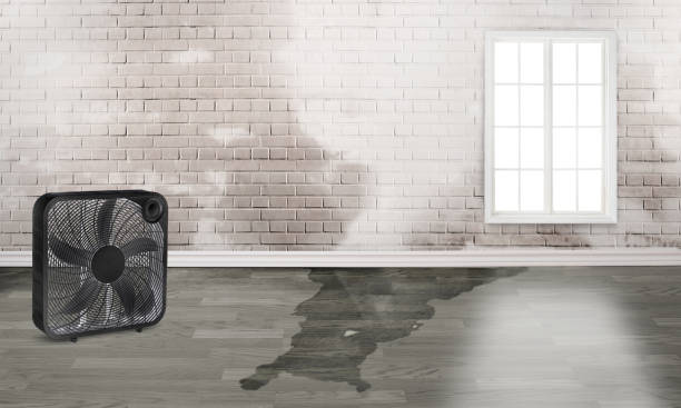Best Water damage restoration near me  in Dillon, CO