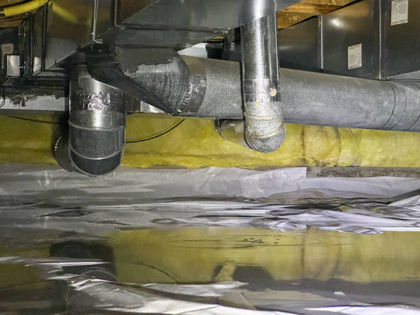 Best Water damage restoration experts  in Dillon, CO