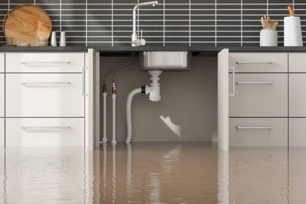 Best Mold removal after water damage  in Dillon, CO