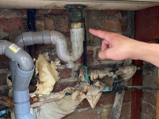 Best Residential water damage restoration  in Dillon, CO