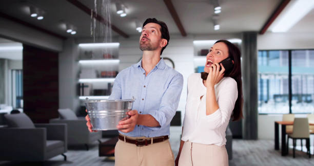 Best Sewage cleanup and water damage restoration  in Dillon, CO