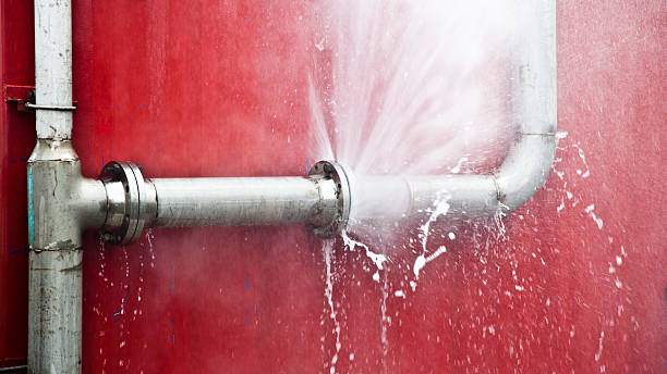 Best Ceiling water damage repair  in Dillon, CO